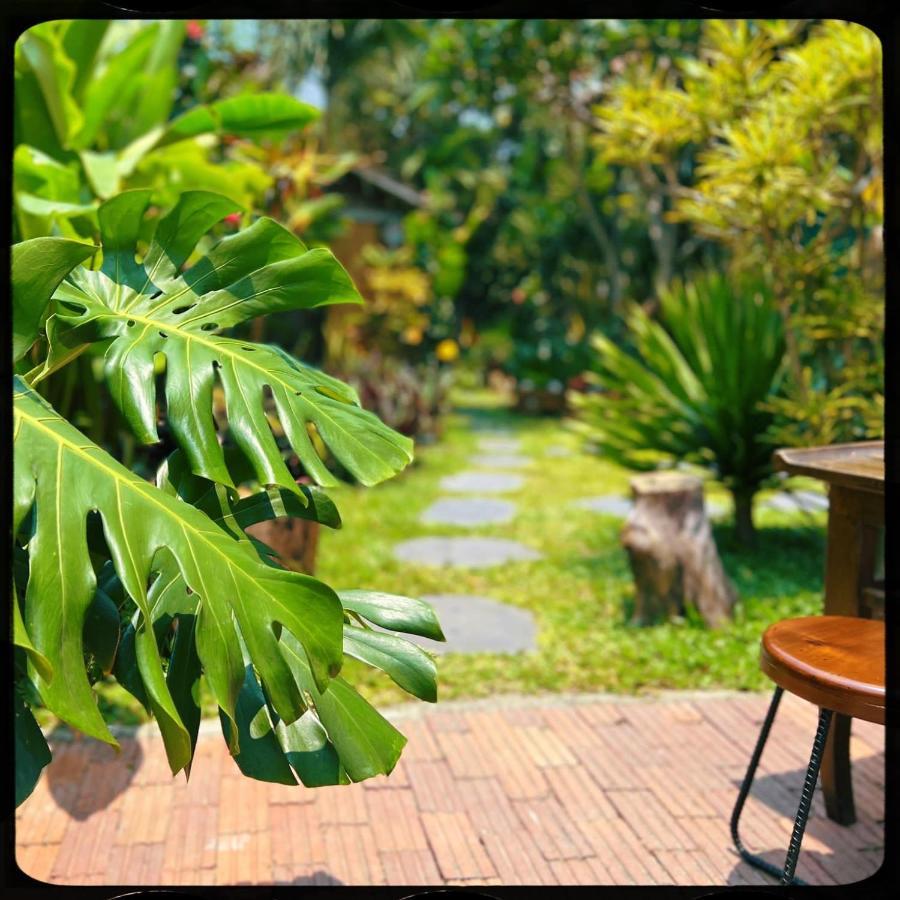 The Happy Bird B&B Hoi An Eksteriør billede